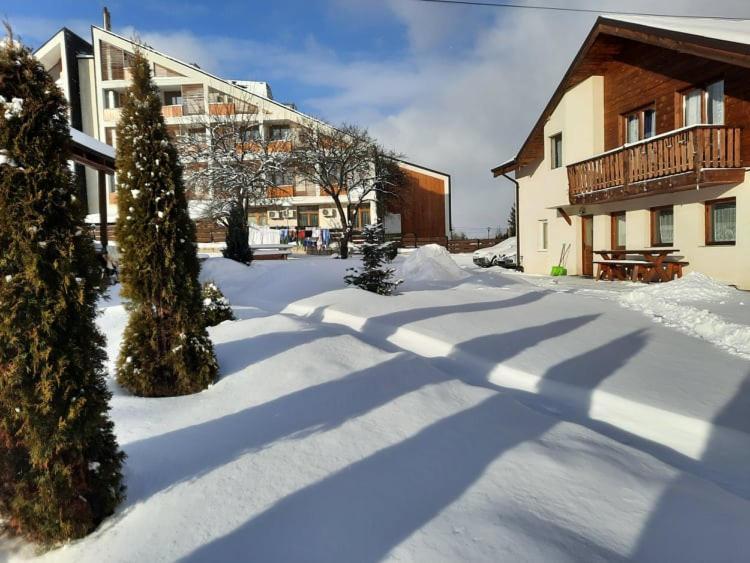 Готель Casa Maria Ватра-Дорней Екстер'єр фото